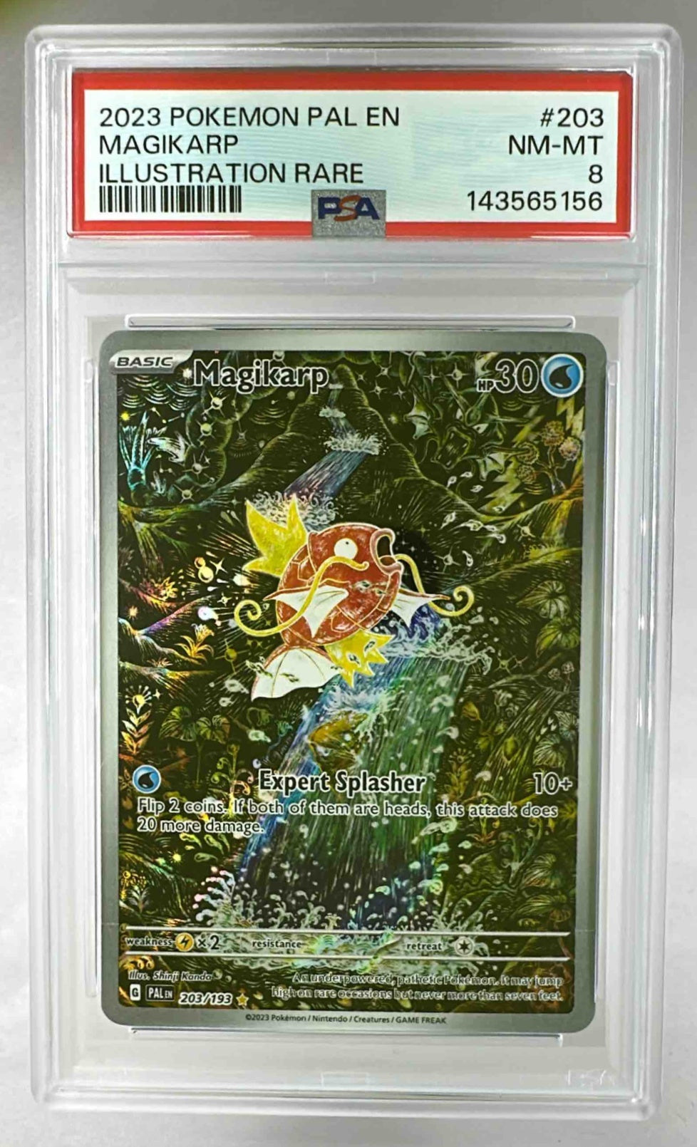 A PSA 8 graded Magikarp illustration rare trading card from the 2023 Paldea Evolved set.