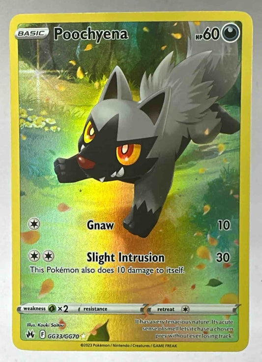 A Poochyena Pokemon card from the Crown Zenith Galarian Gallery set with artistic illustration.